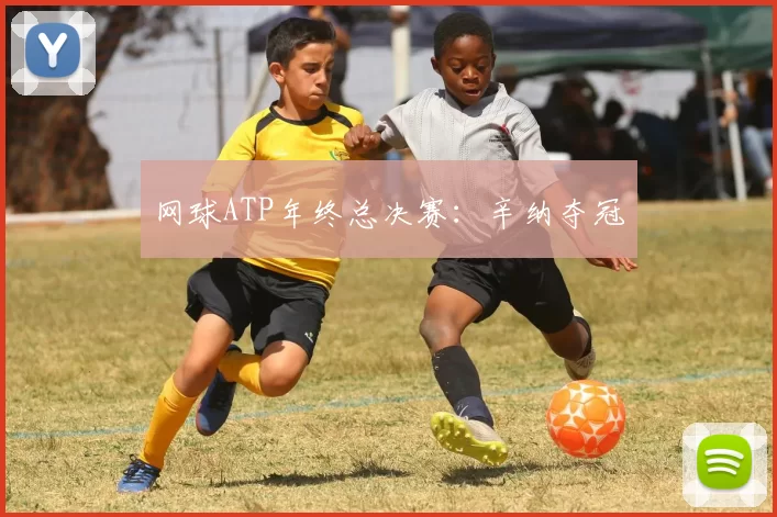 网球ATP年终总决赛：辛纳夺冠