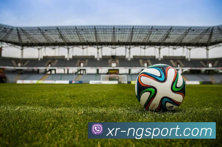 NG体育服务体系